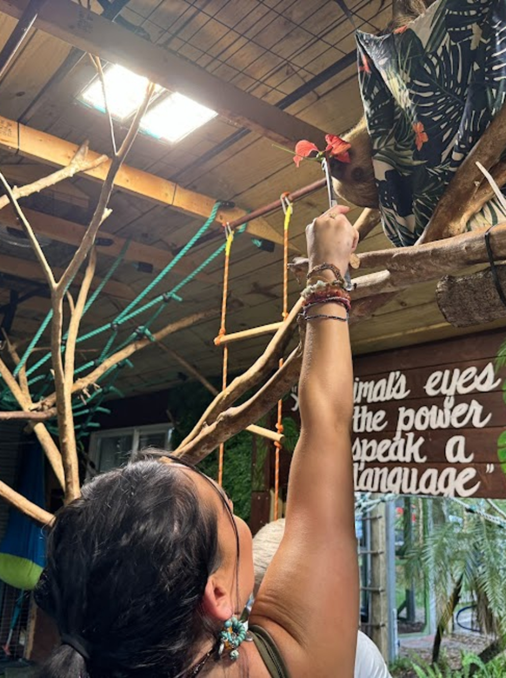 Exotic Animal Encounters Near Ocala, FL -- Chase Sanctuary Webster Florida